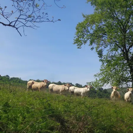 Barrandeia Дом отдыха