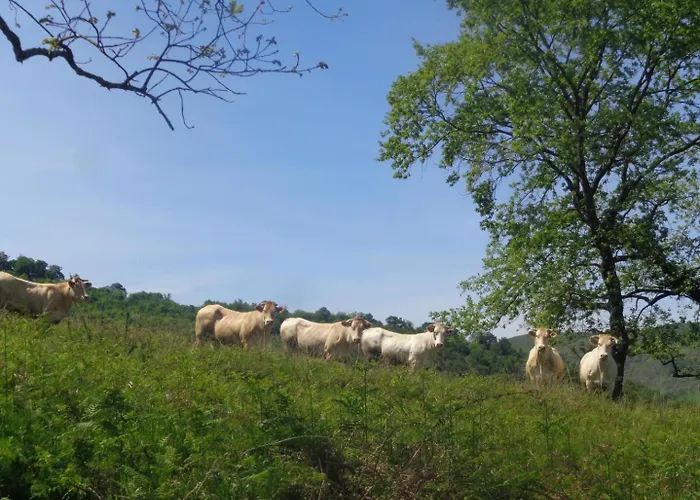 Barrandeia Casa vacanze