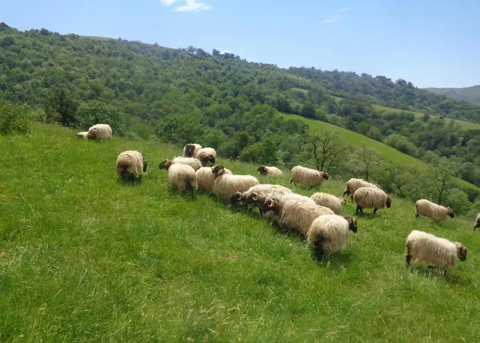 Casa vacanze Barrandeia *